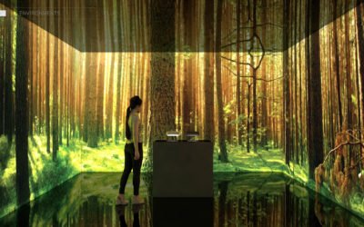 Virtual Reality Spaces