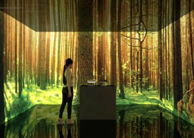 Immersive Environments